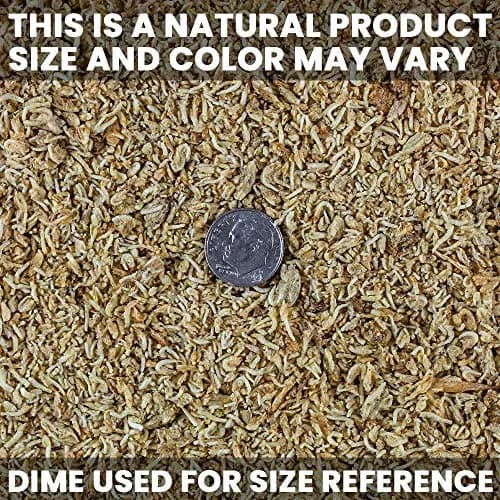San Francisco Bay Brand Freeze-Dried Mysis Shrimp 0.49 oz | Premium Fish Food for Freshwater & Saltwater Fish thumbnail 6