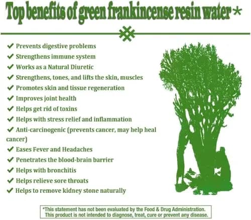 Oman Herbs Royal Green Hojari Frankincense 227g (1/2 lb) | Pure Boswellia Sacra Resin for Meditation thumbnail 5