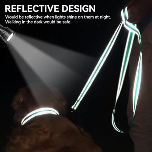 Joytale Reflective Dog Leash 6 ft x 1" Turquoise | Heavy Duty Nylon Webbing, Padded Handle, Visible at Night, for Medium & Large Dogs thumbnail 4