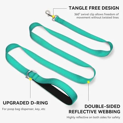 Joytale Reflective Dog Leash 6 ft x 1" Turquoise | Heavy Duty Nylon Webbing, Padded Handle, Visible at Night, for Medium & Large Dogs thumbnail 5