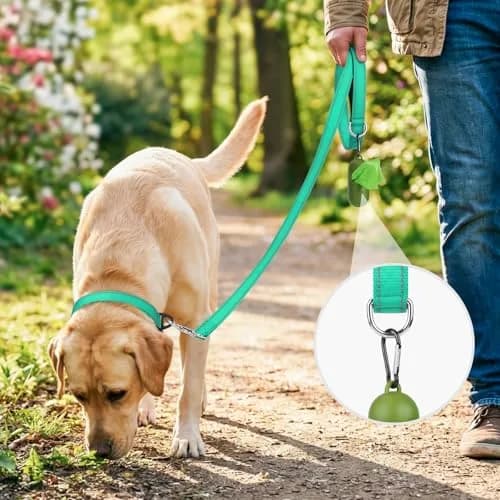 Joytale Reflective Dog Leash 6 ft x 1" Turquoise | Heavy Duty Nylon Webbing, Padded Handle, Visible at Night, for Medium & Large Dogs thumbnail 2