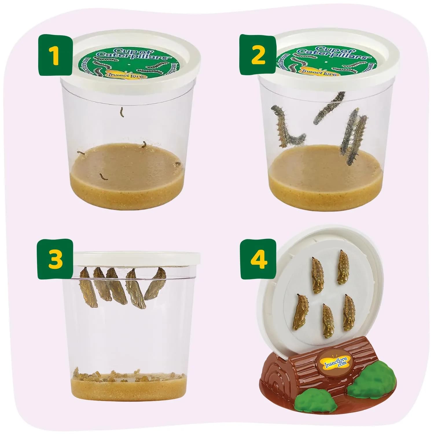 Insect Lore Butterfly Garden with 10 Live Baby Caterpillars & STEM Journal | Raise and Release Painted Lady Butterflies - view 3