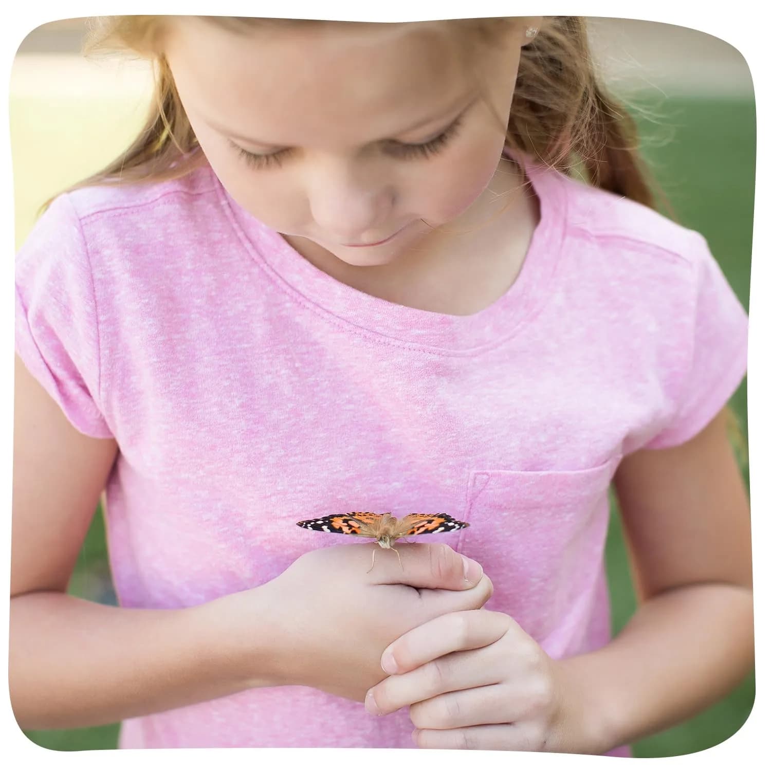Insect Lore Butterfly Garden with 10 Live Baby Caterpillars & STEM Journal | Raise and Release Painted Lady Butterflies - view 5