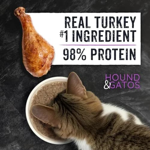 Hound & Gatos Turkey Wet Cat Food 5.5 oz Can | 98% Real Meat, Grain Free, Limited Ingredient thumbnail 4