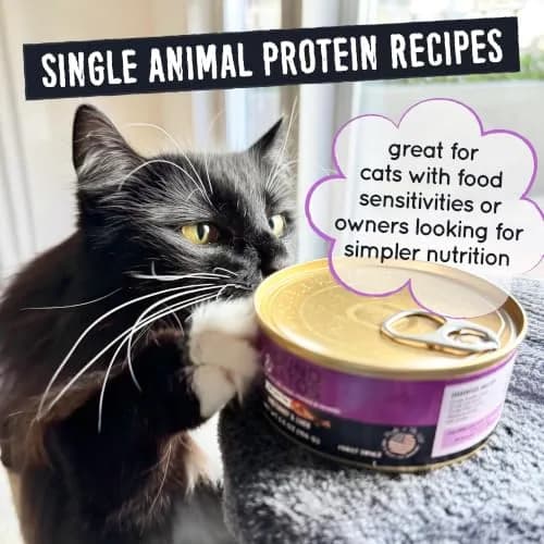Hound & Gatos Turkey Wet Cat Food 5.5 oz Can | 98% Real Meat, Grain Free, Limited Ingredient thumbnail 5