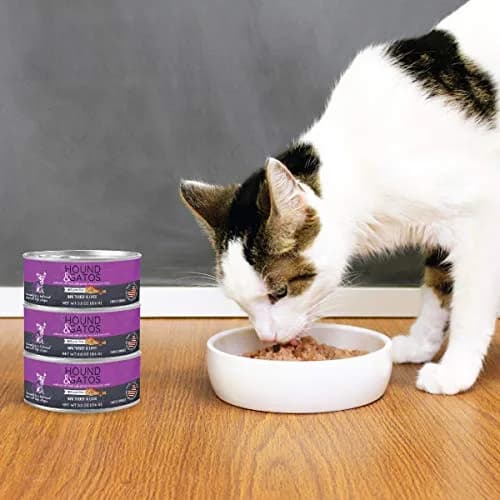 Hound & Gatos Turkey Wet Cat Food 5.5 oz Can | 98% Real Meat, Grain Free, Limited Ingredient thumbnail 2