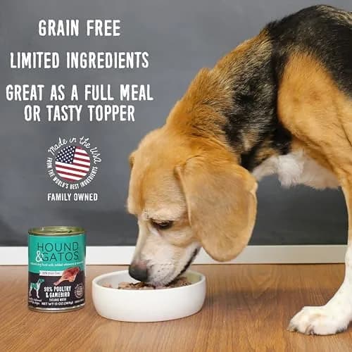 Hound & Gatos Poultry & Gamebird Wet Dog Food 13 oz | High Protein, Digestive Support, Grain Free thumbnail 2