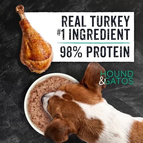 Hound & Gatos Poultry & Gamebird Wet Dog Food 13 oz | High Protein, Digestive Support, Grain Free thumbnail 3