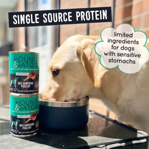 Hound & Gatos Poultry & Gamebird Wet Dog Food 13 oz | High Protein, Digestive Support, Grain Free thumbnail 4