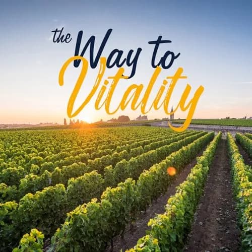Vitalitown Probiotics 120 Billion CFUs | 36 Strains, with Prebiotics & Digestive Enzymes for Men Women | Shelf Stable | Digestive & Immune Support | Vegan, Non-GMO | 30 Delayed Release Veg Caps thumbnail 6
