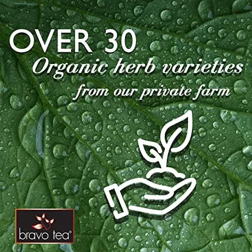 Bravo Tea Lung Soother Herbal Tea Caffeine Free | Herbal & Organic Support for Easy Breathing thumbnail 4