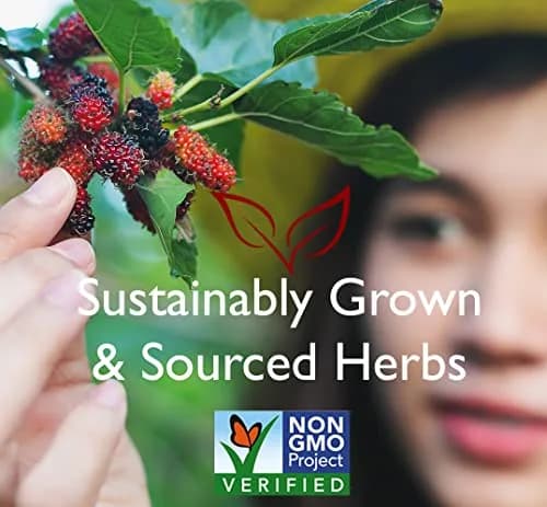Bravo Tea Lung Soother Herbal Tea Caffeine Free | Herbal & Organic Support for Easy Breathing thumbnail 3