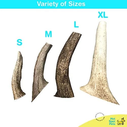 hotspot pets Antlers for Dogs 1 Count (Pack of 1) | Naturally Shed Elk Antler Chew for Aggressive Chewers thumbnail 5