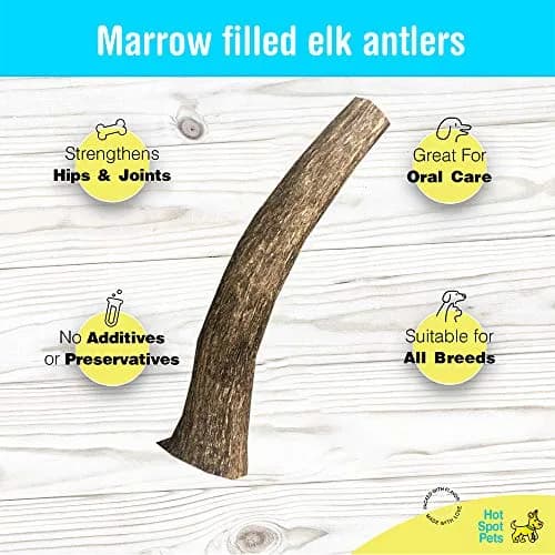 hotspot pets Antlers for Dogs 1 Count (Pack of 1) | Naturally Shed Elk Antler Chew for Aggressive Chewers thumbnail 2