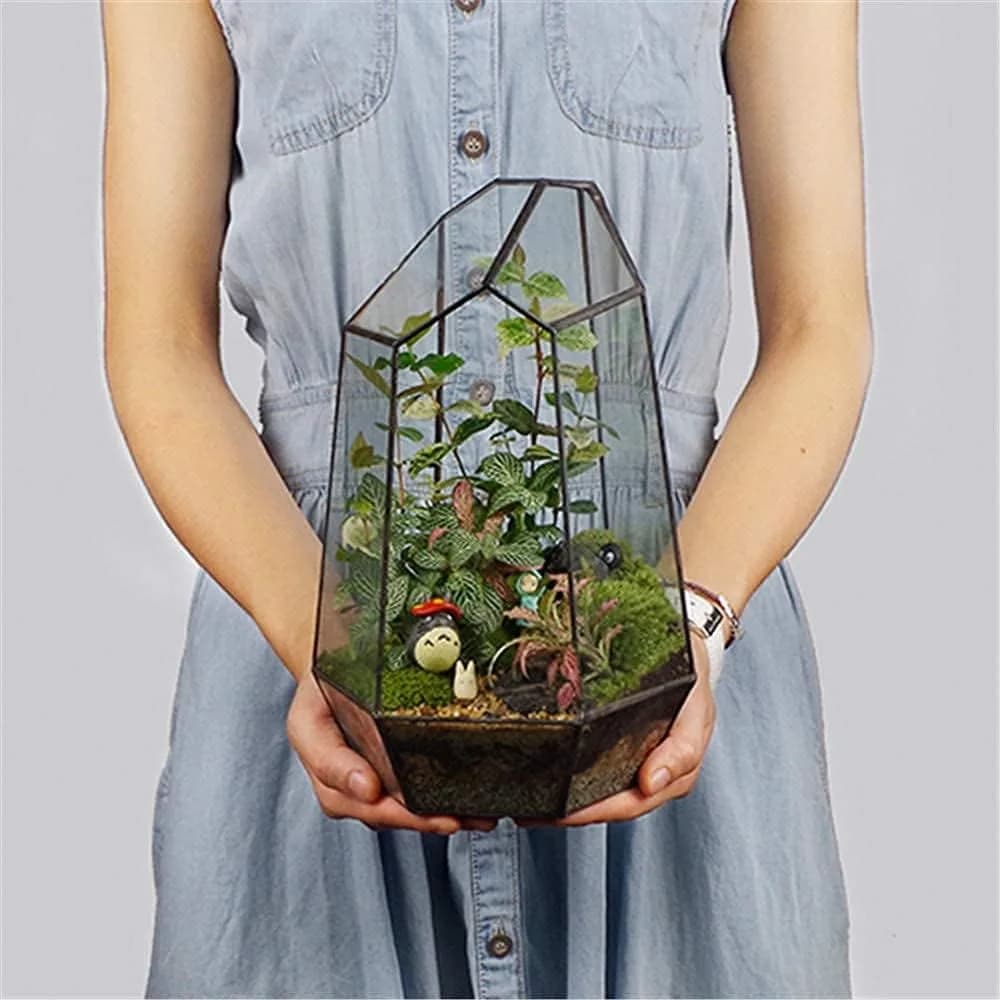 libproqia Geometric Glass Terrarium Planter 16.5cm (6.5" L x 5.7" W x 9.8" H) | Open-Front Design for Succulents & Air Plants