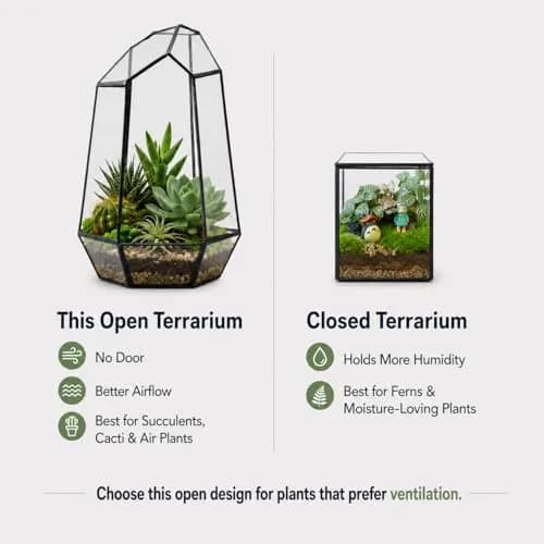 libproqia Geometric Glass Terrarium Planter 16.5cm (6.5" L x 5.7" W x 9.8" H) | Open-Front Design for Succulents & Air Plants thumbnail 4