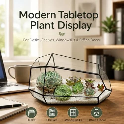 libproqia Geometric Glass Terrarium Planter 16.5cm (6.5" L x 5.7" W x 9.8" H) | Open-Front Design for Succulents & Air Plants thumbnail 6