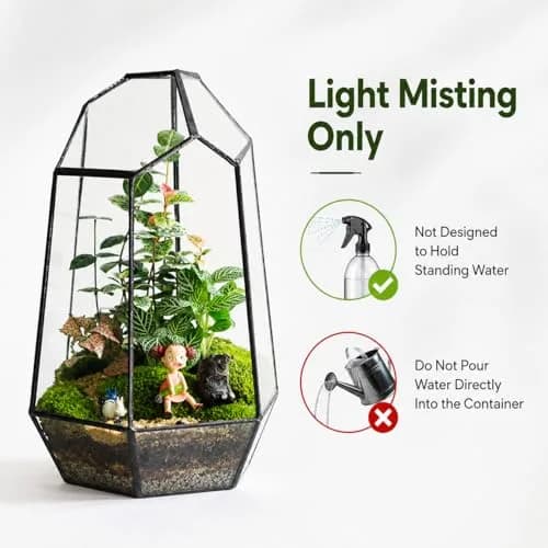 libproqia Geometric Glass Terrarium Planter 16.5cm (6.5" L x 5.7" W x 9.8" H) | Open-Front Design for Succulents & Air Plants thumbnail 7