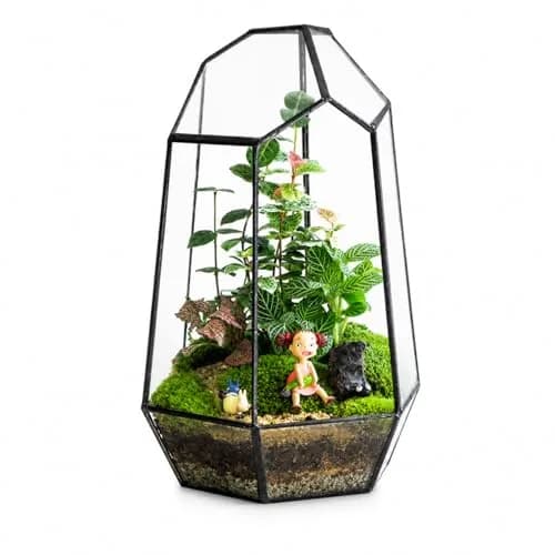 libproqia Geometric Glass Terrarium Planter 16.5cm (6.5" L x 5.7" W x 9.8" H) | Open-Front Design for Succulents & Air Plants thumbnail 8
