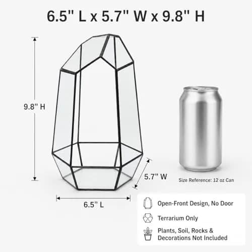 libproqia Geometric Glass Terrarium Planter 16.5cm (6.5" L x 5.7" W x 9.8" H) | Open-Front Design for Succulents & Air Plants thumbnail 2