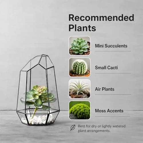 libproqia Geometric Glass Terrarium Planter 16.5cm (6.5" L x 5.7" W x 9.8" H) | Open-Front Design for Succulents & Air Plants thumbnail 3