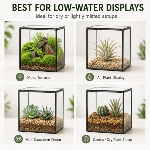 libproqia Small Square Glass Terrarium with Lid 10.9cm (4.3 Inch) | Mini Fairy Garden Display Case thumbnail 5