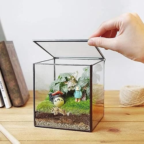 libproqia Small Square Glass Terrarium with Lid 10.9cm (4.3 Inch) | Mini Fairy Garden Display Case thumbnail 3