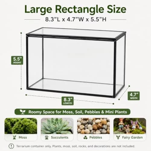 libproqia Rectangular Glass Plant Terrarium with Lid 21cm x 12cm x 14cm | Modern Black Frame for Indoor Plants thumbnail 4