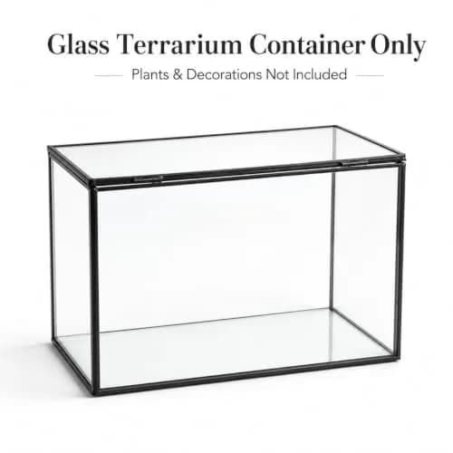 libproqia Rectangular Glass Plant Terrarium with Lid 21cm x 12cm x 14cm | Modern Black Frame for Indoor Plants thumbnail 5