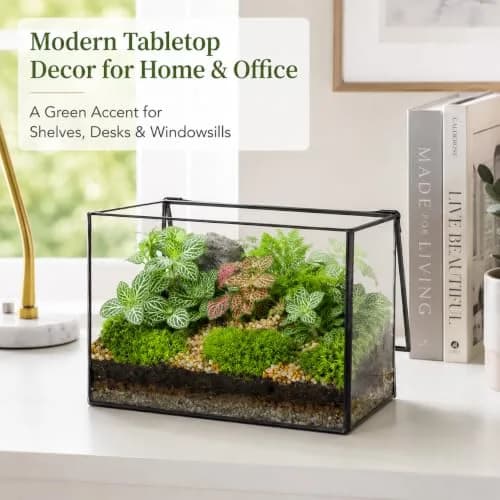 libproqia Rectangular Glass Plant Terrarium with Lid 21cm x 12cm x 14cm | Modern Black Frame for Indoor Plants thumbnail 6