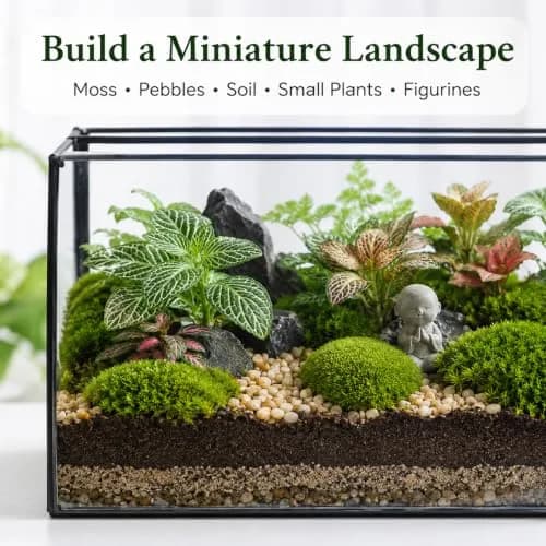 libproqia Rectangular Glass Plant Terrarium with Lid 21cm x 12cm x 14cm | Modern Black Frame for Indoor Plants thumbnail 7