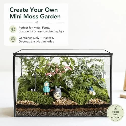 libproqia Rectangular Glass Plant Terrarium with Lid 21cm x 12cm x 14cm | Modern Black Frame for Indoor Plants thumbnail 2