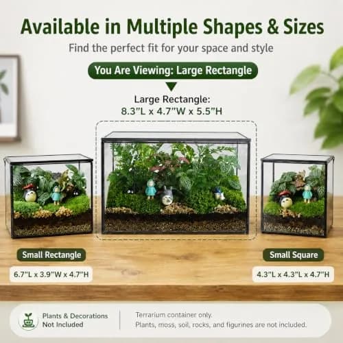 libproqia Rectangular Glass Plant Terrarium with Lid 21cm x 12cm x 14cm | Modern Black Frame for Indoor Plants thumbnail 3