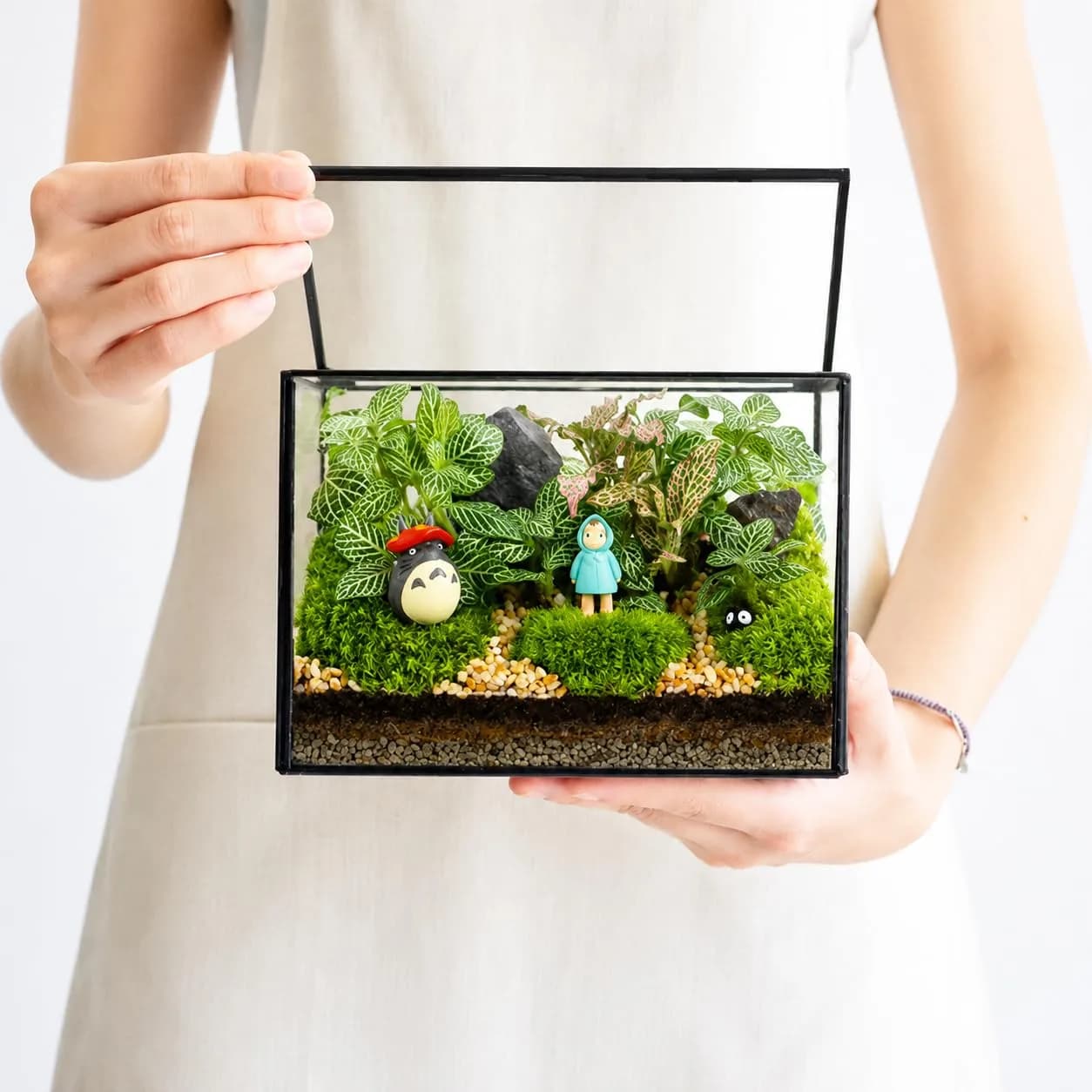 libproqia Rectangular Glass Plant Terrarium with Lid 21cm x 12cm x 14cm | Modern Black Frame for Indoor Plants — Small Rectangle