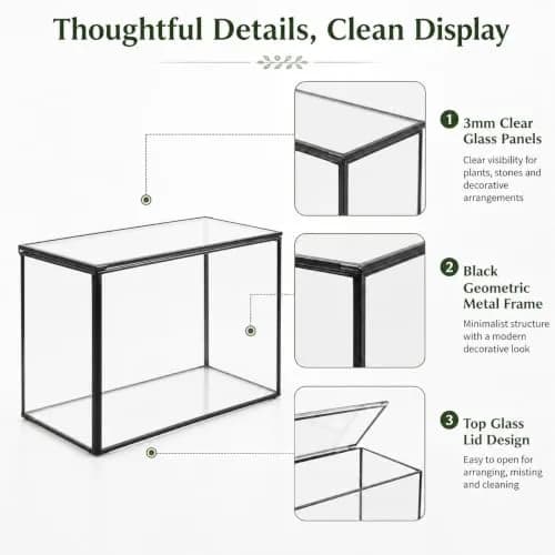libproqia Clear Geometric Glass Terrarium with Lid 16.89cm (6.7" L x 3.9" W x 4.7" H) | Decorative Mini Plant Display thumbnail 5