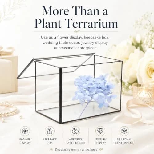 libproqia Clear Geometric Glass Terrarium with Lid 16.89cm (6.7" L x 3.9" W x 4.7" H) | Decorative Mini Plant Display thumbnail 6