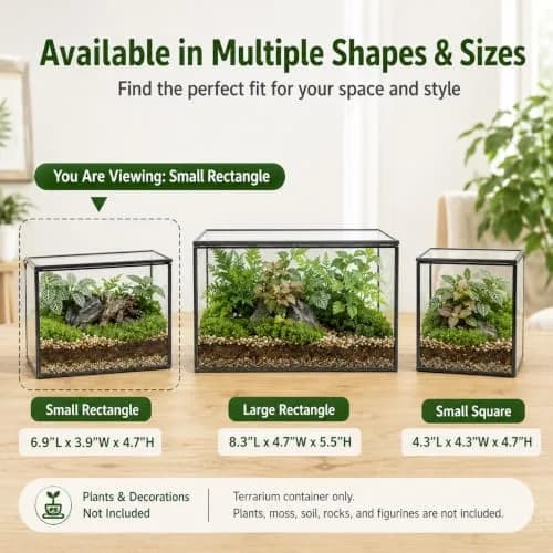 libproqia Clear Geometric Glass Terrarium with Lid 16.89cm (6.7" L x 3.9" W x 4.7" H) | Decorative Mini Plant Display thumbnail 7