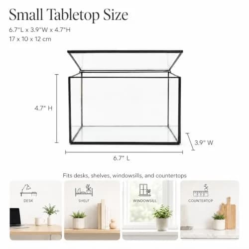 libproqia Clear Geometric Glass Terrarium with Lid 16.89cm (6.7" L x 3.9" W x 4.7" H) | Decorative Mini Plant Display thumbnail 2