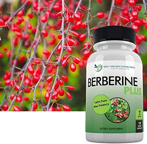 DOCTOR RECOMMENDED SUPPLEMENTS Berberine Plus 1200mg | 120 Veggie Capsules for Healthy System thumbnail 4