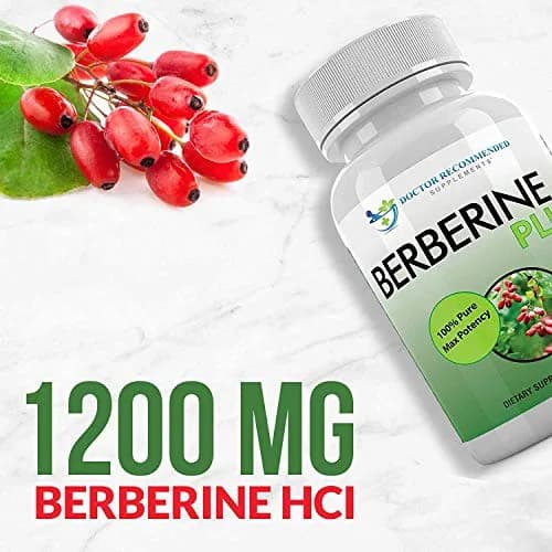 DOCTOR RECOMMENDED SUPPLEMENTS Berberine Plus 1200mg | 120 Veggie Capsules for Healthy System thumbnail 3