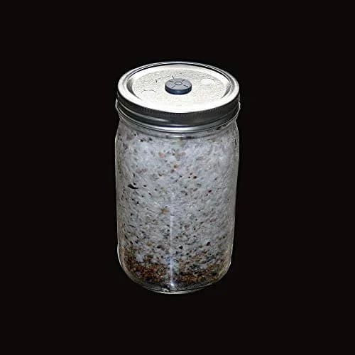 Acuteye Synthetic Filter Paper Stickers 20mm Diameter 0.25 Micron 64pcs | For Mushroom Cultivation & Lab Filtration thumbnail 4