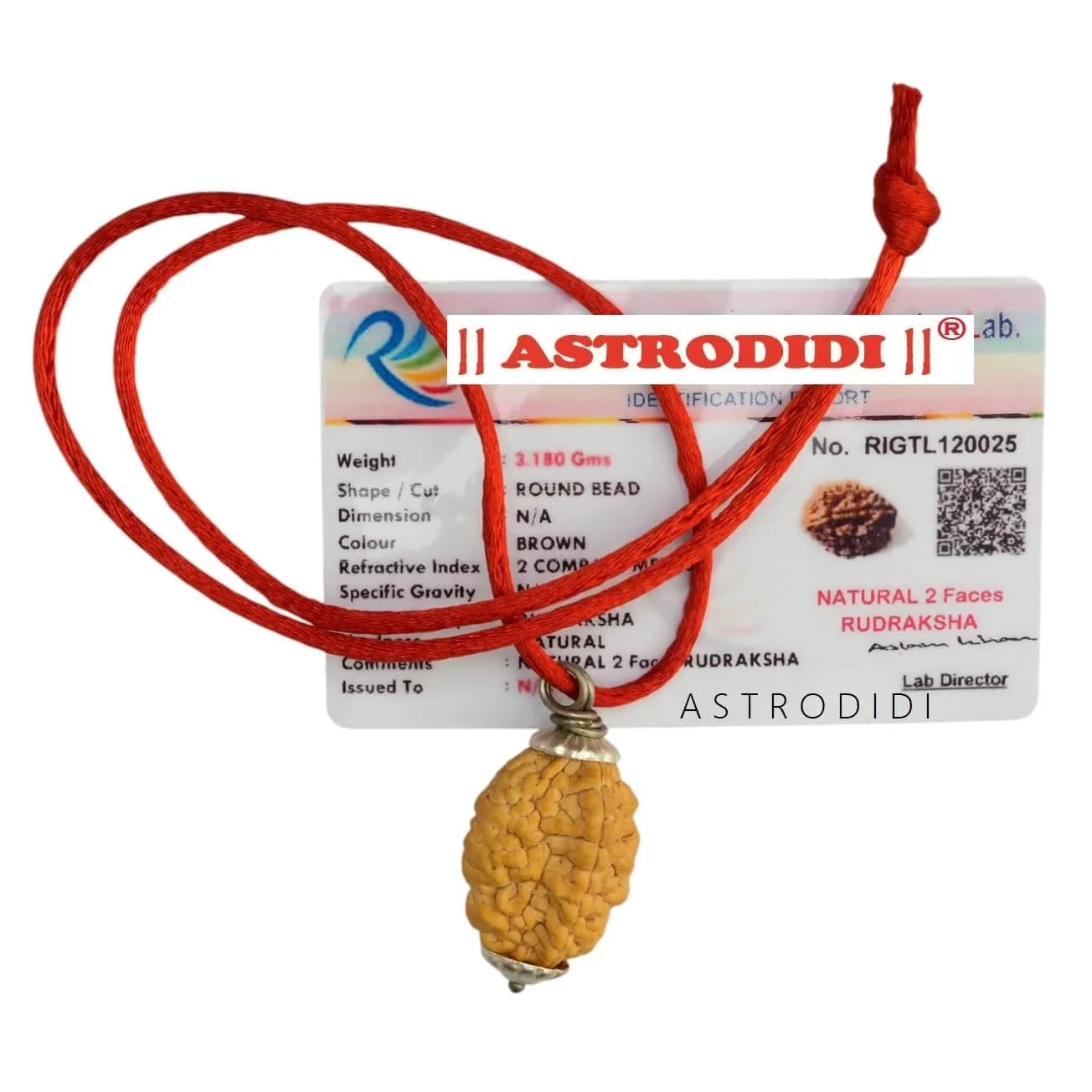 ASTRODIDI Rudraksha 2 Mukhi Pendant (Brown) | Spiritual & Prosperity Charm for Women — Brown,Red