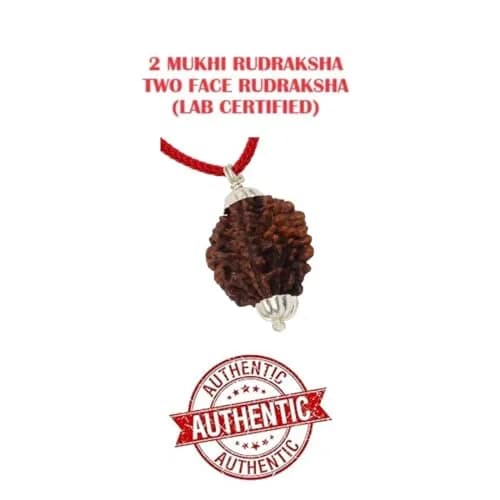 ASTRODIDI Rudraksha 2 Mukhi Pendant (Brown) | Spiritual & Prosperity Charm for Women thumbnail 4