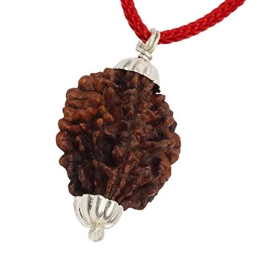 ASTRODIDI Rudraksha 2 Mukhi Pendant (Brown) | Spiritual & Prosperity Charm for Women thumbnail 3