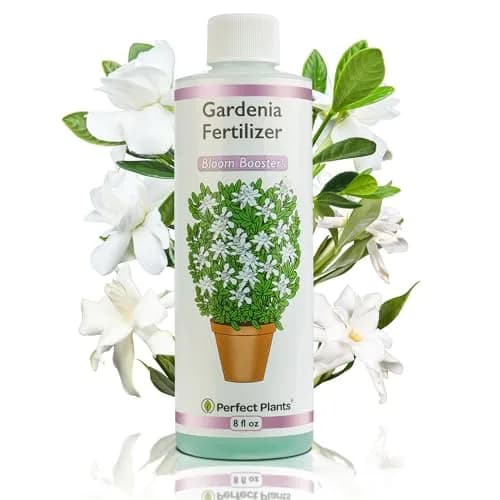 Perfect Plants Gardenia Liquid Fertilizer 8 oz | Bloom Boost Plant Food for Flowering Shrubs thumbnail 1