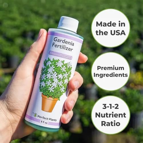 Perfect Plants Gardenia Liquid Fertilizer 8 oz | Bloom Boost Plant Food for Flowering Shrubs thumbnail 4