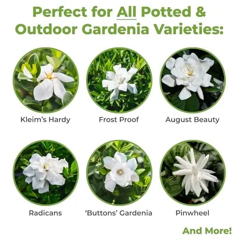 Perfect Plants Gardenia Liquid Fertilizer 8 oz | Bloom Boost Plant Food for Flowering Shrubs thumbnail 3