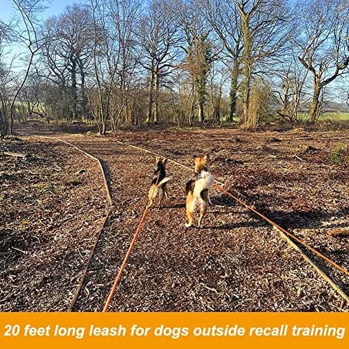 Vivifying Floating Long Dog Leash 6.1m (20ft) Orange | Durable Training Leash for Recall & Swimming thumbnail 8