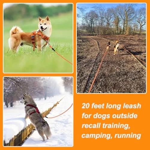 Vivifying Orange Floating Dog Training Leash 10m (32ft) | Durable Rope Lead with Padded Handle thumbnail 6