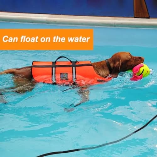 Vivifying Black Floating Dog Long Line 10m (32ft) | Recall Training Rope with Padded Handle thumbnail 2
